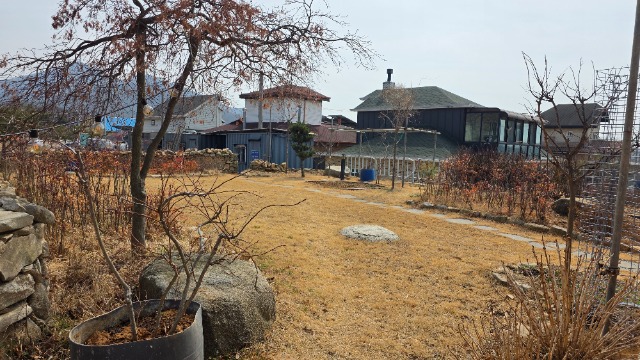 20260323_132057.jpg