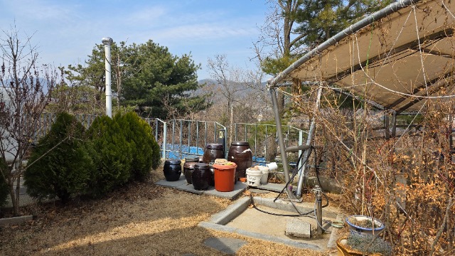 20260323_132022.jpg