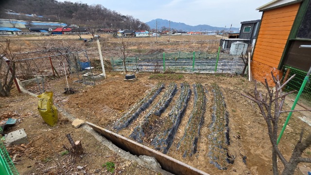 20260330_155220.jpg