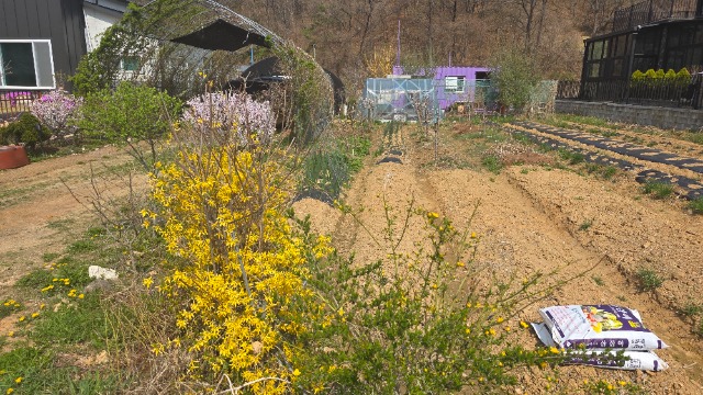 20260415_104405.jpg