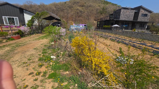 20260415_104352.jpg