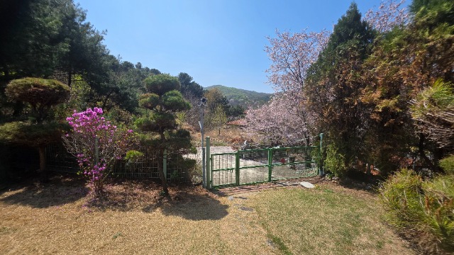 20260415_124624.jpg