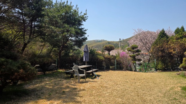 20260415_124145.jpg