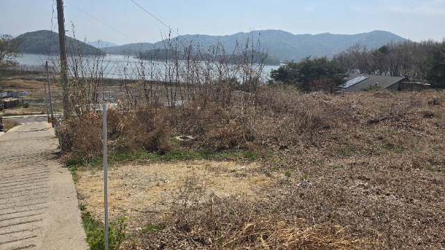 20260415_132450.jpg