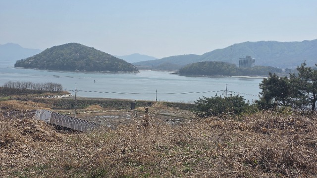 20260415_132635.jpg