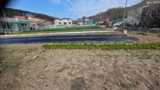 20260417_151750.jpg