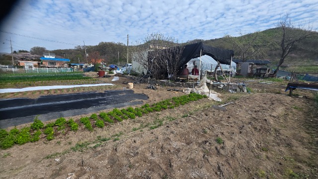 20260417_151755.jpg