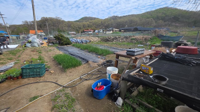 20260417_151911.jpg