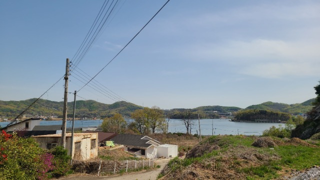 1776928746646 (1).jpg