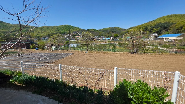 20260424_111614.jpg