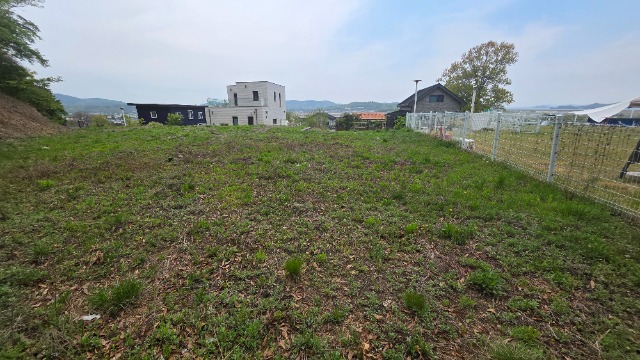 20260427_130154.jpg
