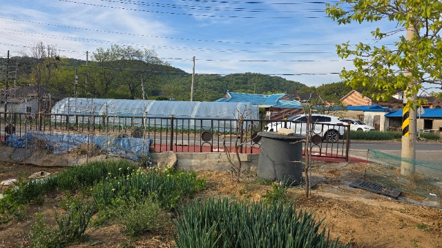 20260429_172207.jpg