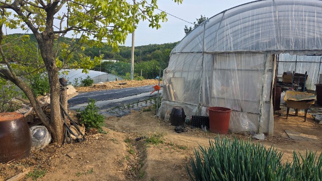 20260429_172234.jpg