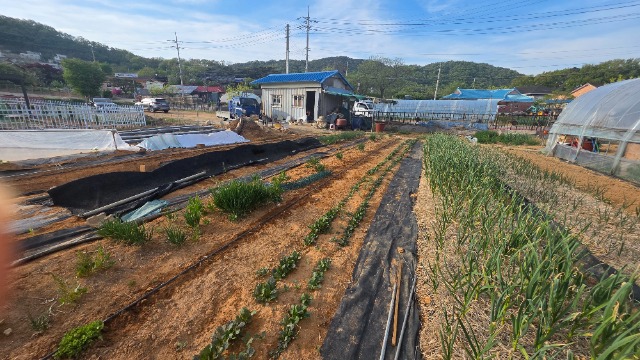 20260429_172333.jpg