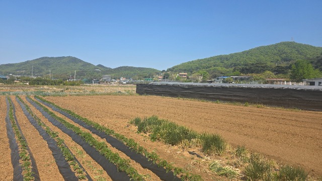 20260430_104746.jpg