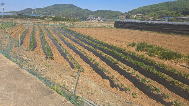 20260430_104729.jpg