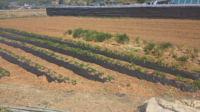 20260430_104732.jpg