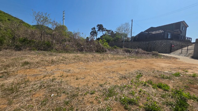 20260430_103019.jpg