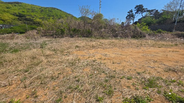20260430_103022.jpg