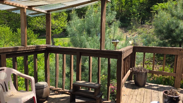 20260504_140500.jpg