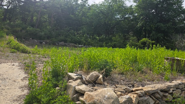 20260518_160524.jpg