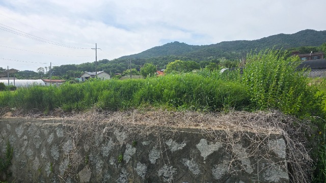 20260518_152725.jpg
