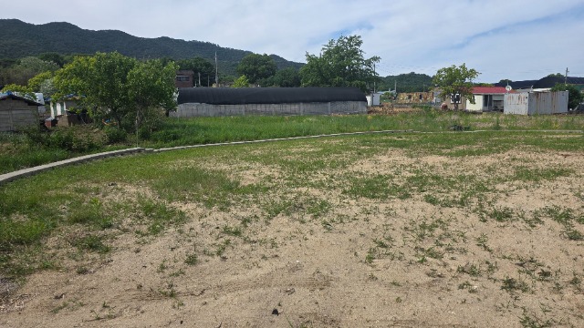 20260518_152837.jpg