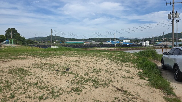 20260518_152847.jpg