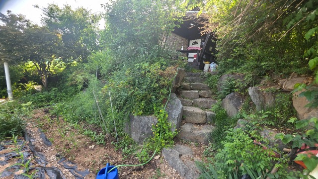 20260522_164505.jpg