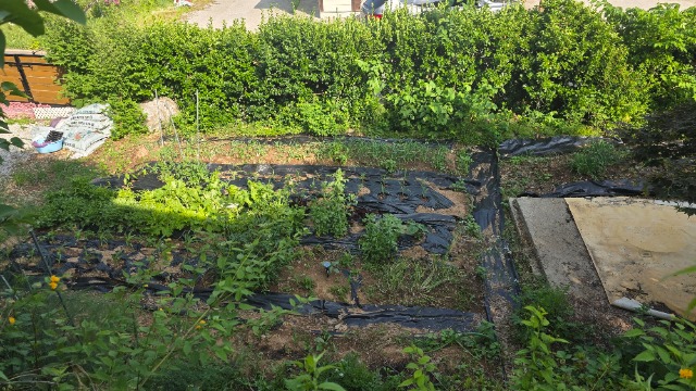 20260522_163851.jpg