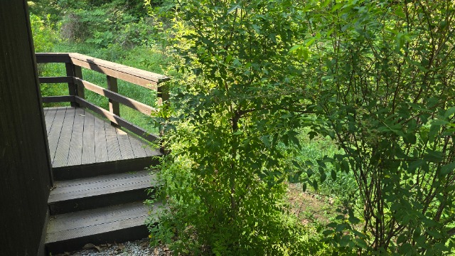 20260522_163927.jpg