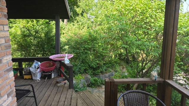 20260522_163917.jpg