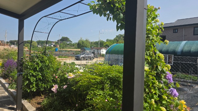 20260522_154737.jpg