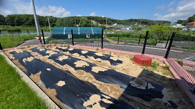 20260528_142027.jpg