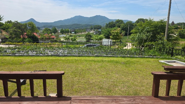 20260601_113540.jpg