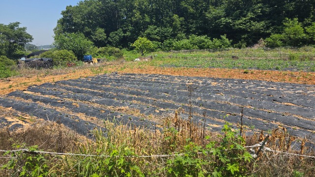 20260530_130123.jpg