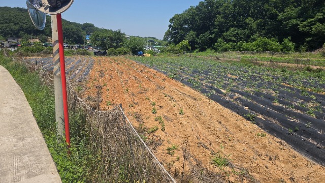 20260530_125911.jpg