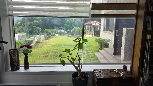 20260604_111659.jpg