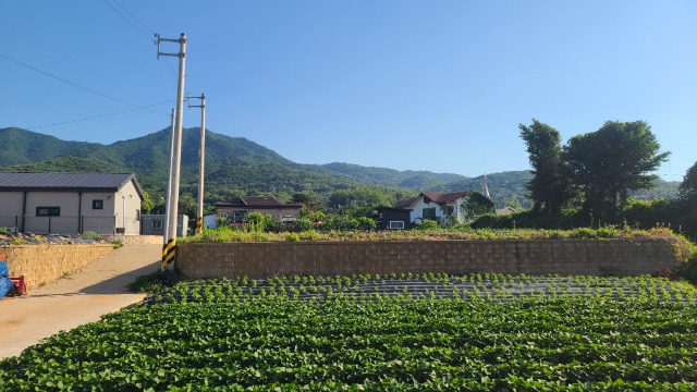 1780713504975.jpg
