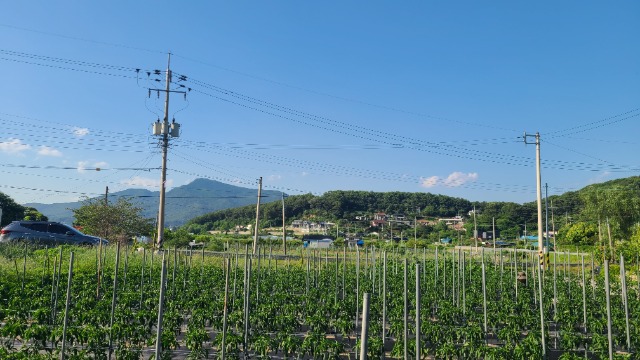 1780713504816.jpg