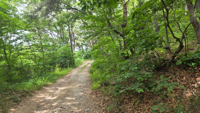 20260618_113451.jpg