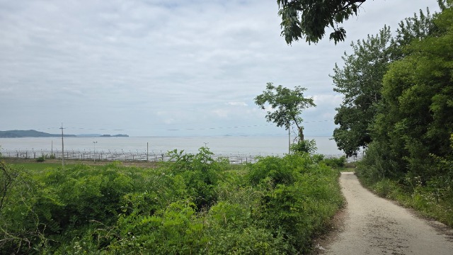20260618_113730.jpg
