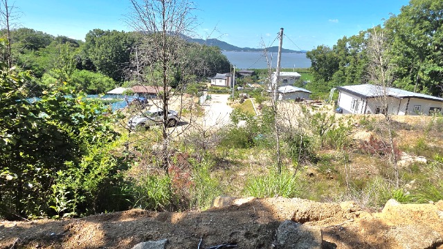 20260623_154102.jpg