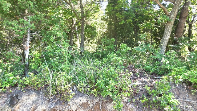 20260623_154110.jpg