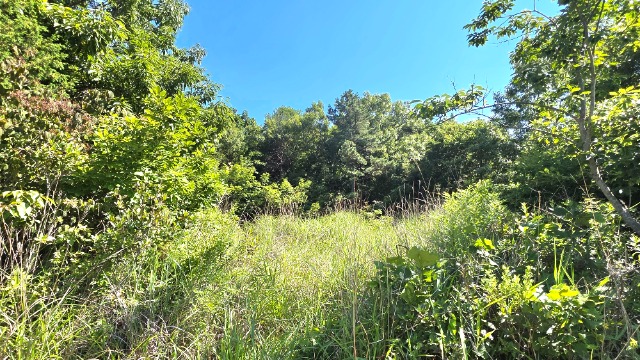 20260623_154412.jpg