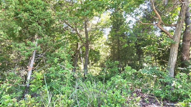 20260623_154130.jpg