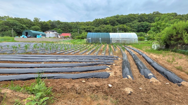 20260625_134557.jpg