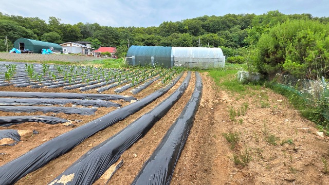 20260625_134609.jpg