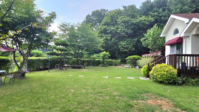 20260629_103300.jpg