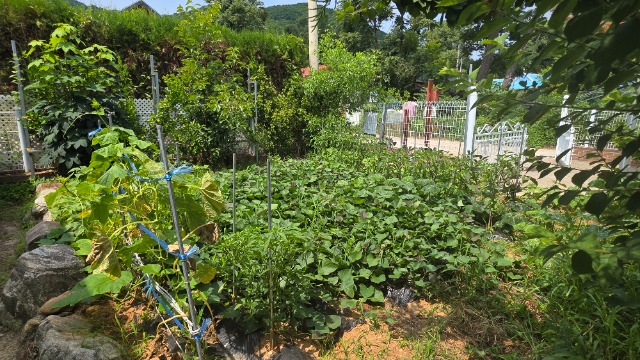 20260630_111157.jpg